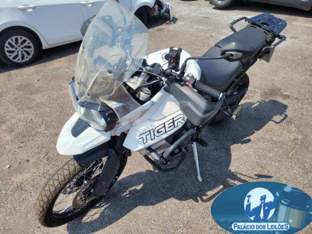 TRIUMPH TIGER 20/20