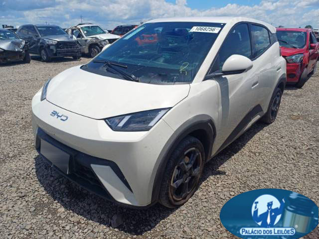 BYD DOLPHIN MINI 25/26